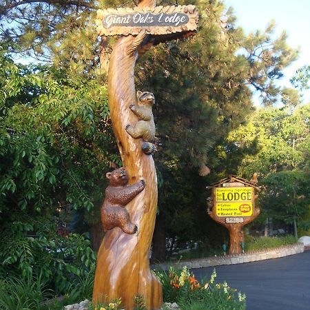 Giant Oaks Lodge Running Springs Exterior foto